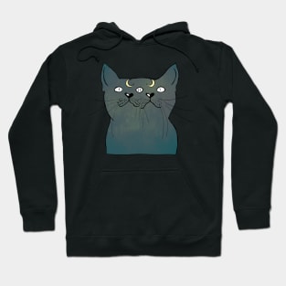 Moon Cats! Hoodie